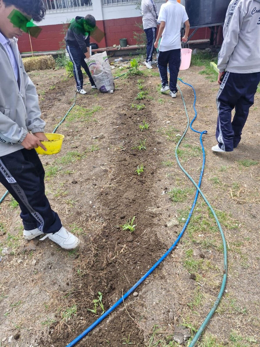 Primera siembra de maíz en el huerto escolar.