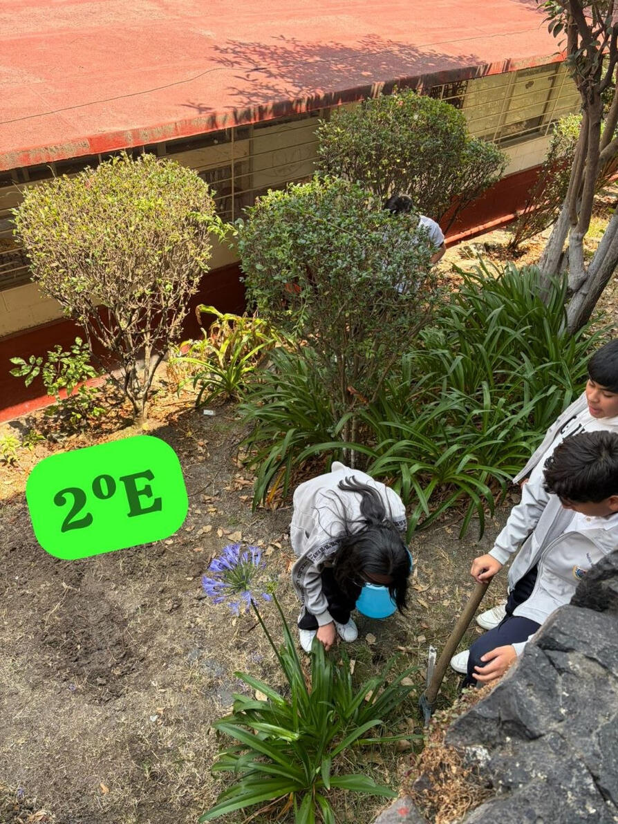 Conservación de áreas verdes.